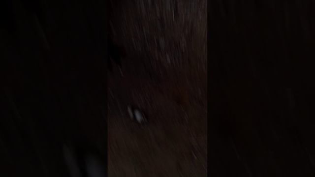 точно, когда я пропал богомол смотреть онлайн