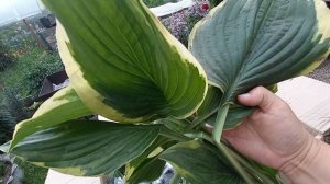 Шок😱 пасылка😭