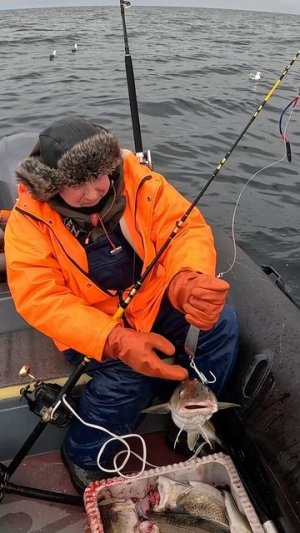 Ловим в Северном море