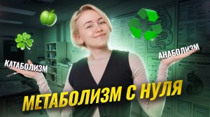 МЕТАБОЛИЗМ с нуля | Катаболизм и анаболизм | Биология ОГЭ | Умскул