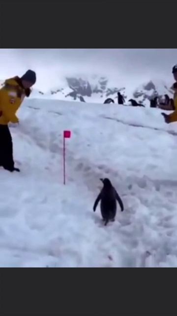 Извините, можно пройти смотреть онлайн