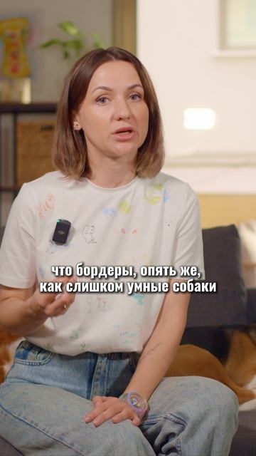 🎁Бесплатные уроки. Жми сюда! смотреть онлайн