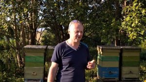 Мед Огневка ПЖВМ, Восковая моль, Пчелиная Огневка , Прополис