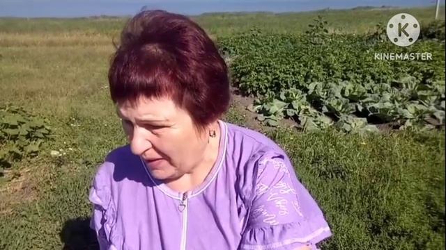 Завели с дедом ляльку/будем обшивать дом смотреть онлайн