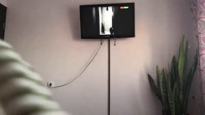 ВЗЛОМ КАНАЛА КАРУСЕЛЬ ВЗЛОМ КАНАЛА МУЛЬТ ВЗЛОМ КАНАЛА СТС ШОК КОНТЕНТ