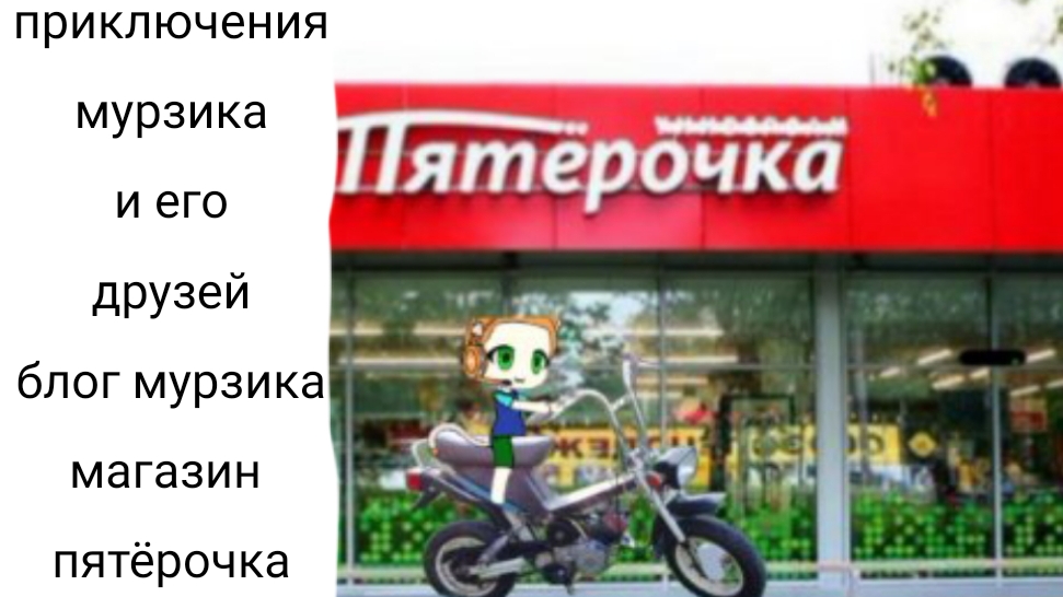 приключения мурзика и его друзей, блог мурзика, магазин пятёрочка. 🐱🏪5️⃣