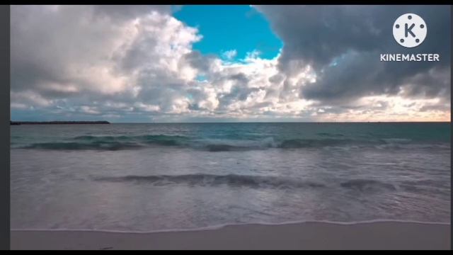 мы родились в Сибири//очередной развод хомяков//обзор канала смотреть онлайн