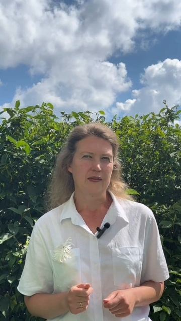 Как будут снижать премии с 01.09.2025 смотреть онлайн