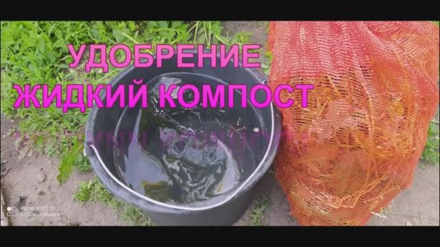 Совершенно бесплатное, отличное органическое удобрение ! Жидкий компост! Удобряем им Всё! смотреть онлайн