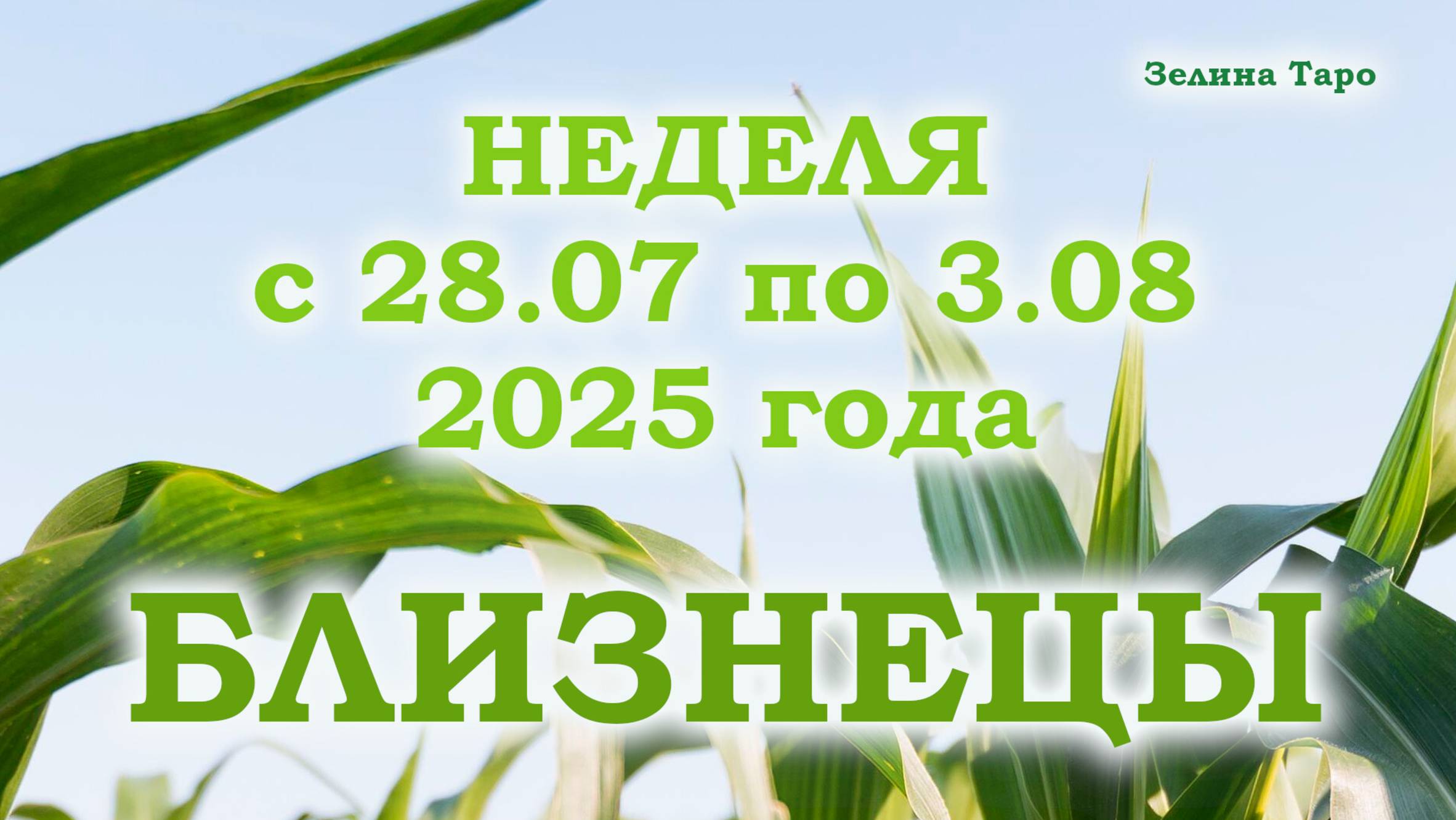 БЛИЗНЕЦЫ | ТАРО прогноз на неделю с 28 июля по 3 августа 2025 года