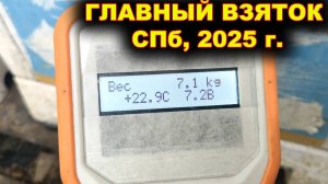 Главный взяток начался! Санкт - Петербург, 2025 г.