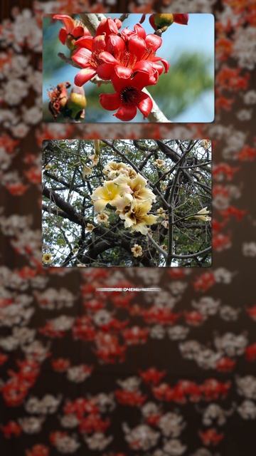 Цветки хлопка из стекла #эксклюзивныйсвет #мебельныйтурвкитай смотреть онлайн