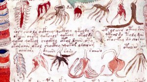 Манускрипт Войнича. Подделка или подлинник?