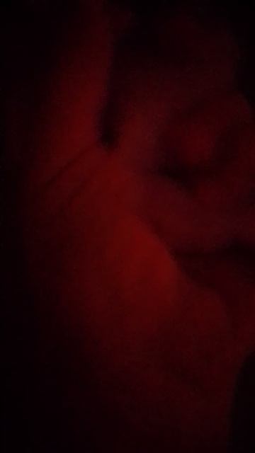 табабабочка племяницы