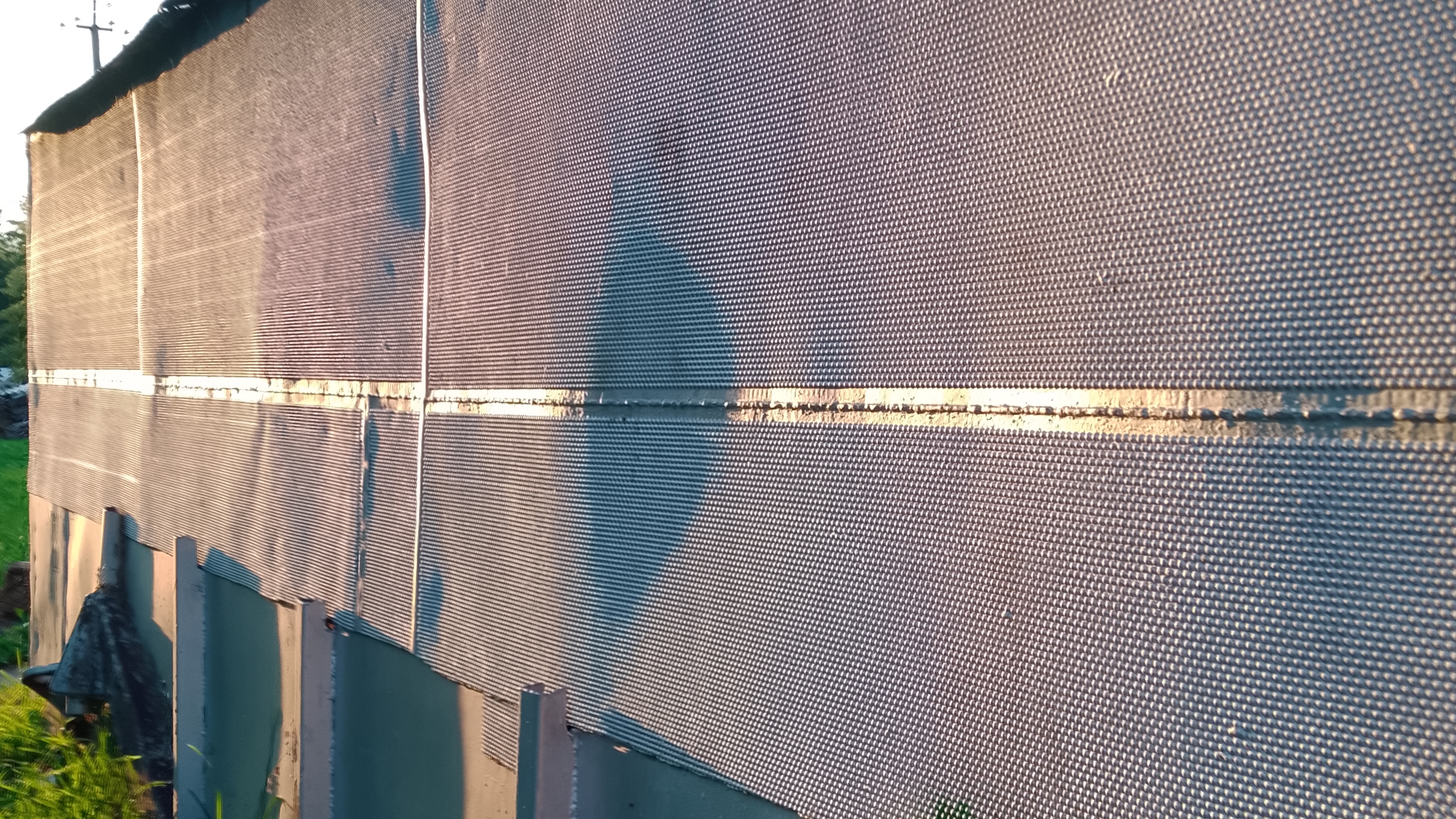 рису зовут не Лена!