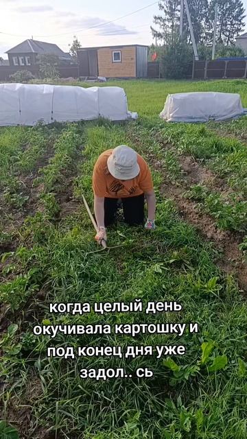 подписывайтесь😅 
#юмор #смех #дача #огород