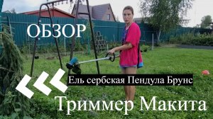 Аккумуляторный триммер Макита (Makita) обзор