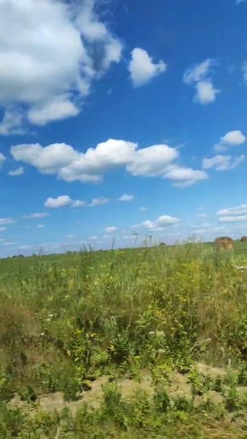 прогулка. смотреть онлайн