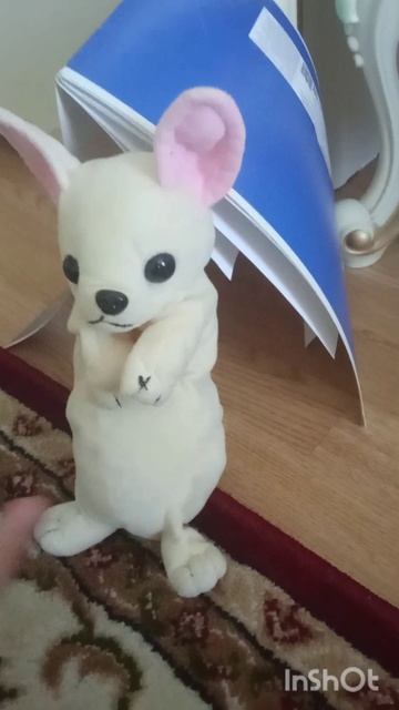 кошка котунья и абибас смотреть онлайн
