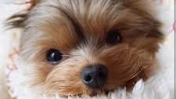 подпишись 🔔