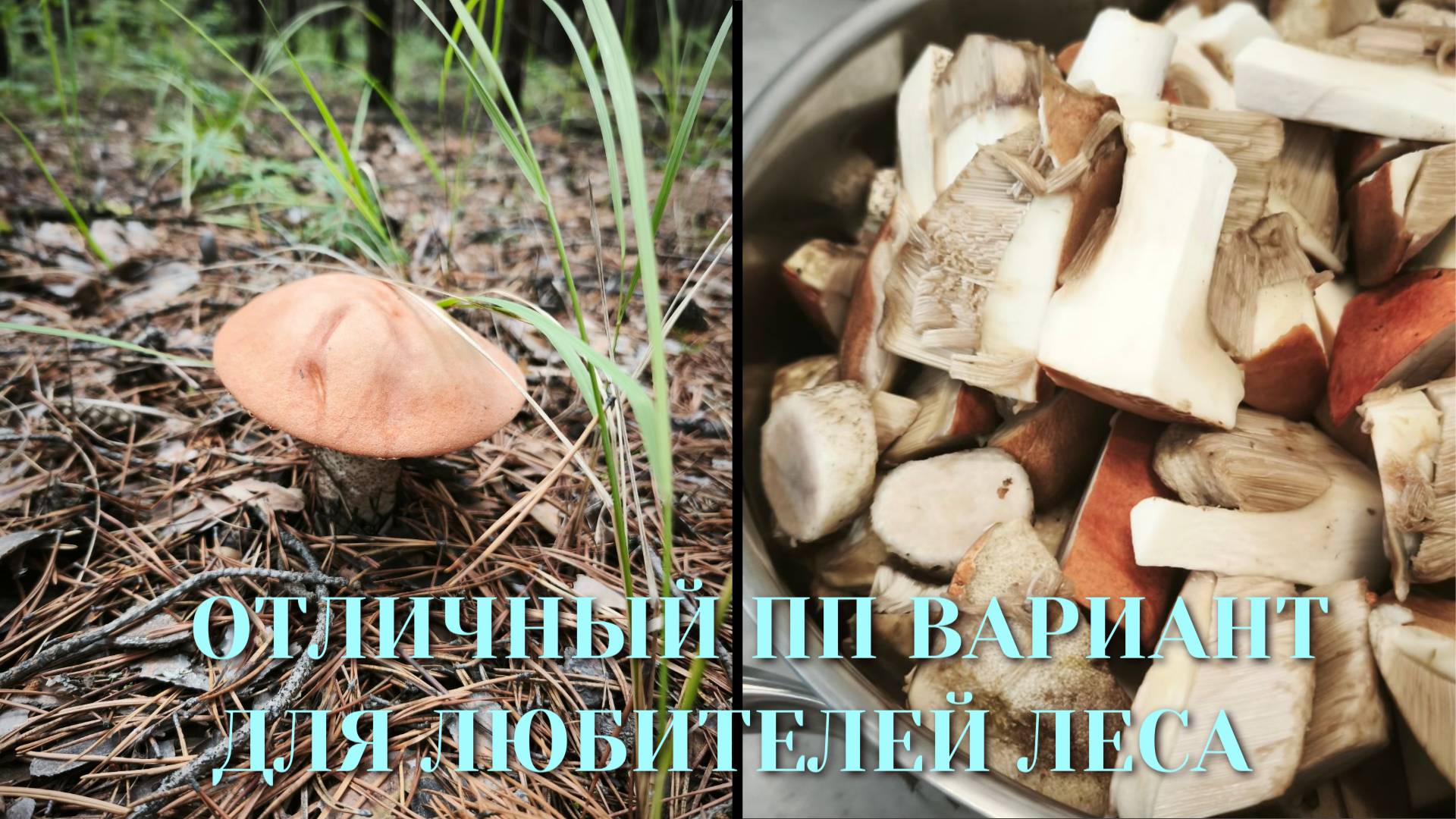 Экологичные грибочки! ПП рецепт, отличный вариант для любителей леса и активного отдыха!!!