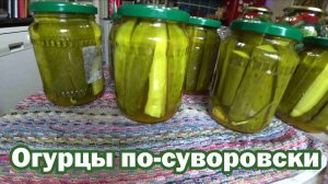 Огурцы маринованные по-суворовски