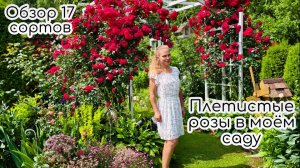 Плетистые розы в прекрасном саду...17 сортов роз для пергол
