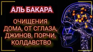 🙏Аль Бакара, очищения домов, от джинов, шайтана, порчи и сглаза, и черной магии | Surah Al