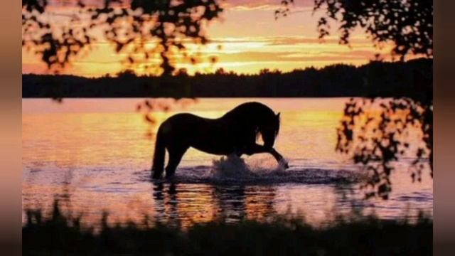 Лодка ромашек смотреть онлайн