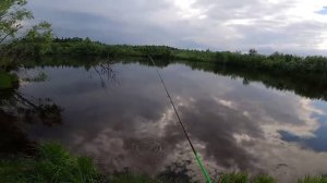 Рыбалка на озере. Защита от комаров THERMACELL. Тест на рыбалке.