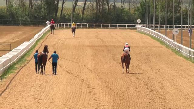 Павловские скачки. Большой приз дерби