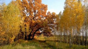 Ветер не плачь, милый ветер, не надо...