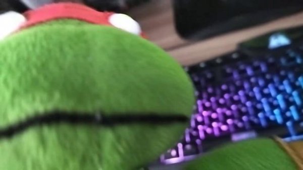 Рафаэлиус гусиничка и чере вирус!