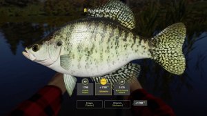 ТРОФЕЙ КРАППИ БЕЛЫЙ!!!ЛОСИНОЕ ОЗЕРО - РУССКАЯ РЫБАЛКА 4