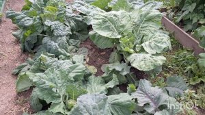 Знакомство с моим каналом-о чём буду снимать.