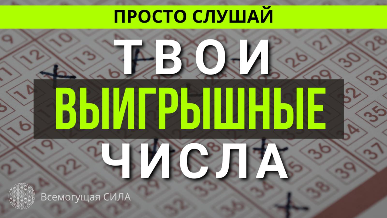 Мои Числа ВЫИГРАЮТ! Аффирмации для УДАЧИ в Лотерее