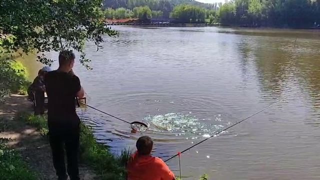 Поимка смотреть онлайн