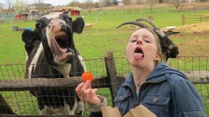 Улетные приколы 2025 — не засмеяться невозможно! 🤣