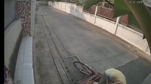 95 моментов снятых на камеру🫢