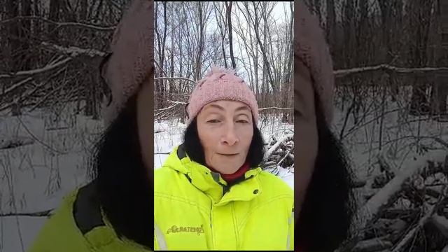 Концентрация Ума. Практика для тренировки Ума. Ум, как инструмент для Творчества. Как обуздать  Ум.