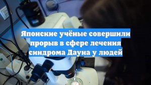Японские учёные совершили прорыв в сфере лечения синдрома Дауна у людей