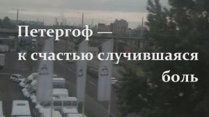 ПУНК. Петергоф — к счастью случившаяся боль