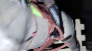 Влог с соревнований Саши и Насти