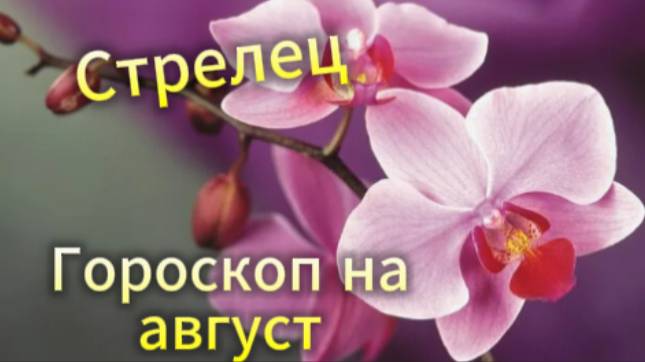 Стрелец! Гороскоп на август 2025 года! смотреть онлайн