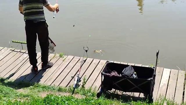 Поимка Линя смотреть онлайн