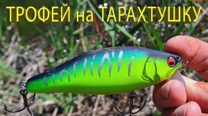 🔥 ТРОФЕЙНАЯ ЩУКА 7 кг на ОГРОМНЫЙ КРЕНК. Поставил плавающий воблер тарахтушку и сразу БАБАХ 🔥