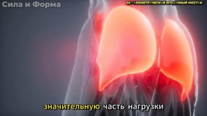 🔥 ТОЛЬКО 7 ИЗОМЕТРИЧЕСКИХ УПРАЖНЕНИЙ ДЛЯ УКРЕПЛЕНИЯ ВСЕГО ТЕЛА – ВЫПОЛНЯЙТЕ ИХ ДОМА!