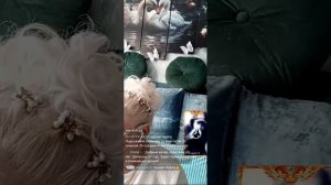 урод гадает на чудо, боится, что она его привязала 26.07.2025