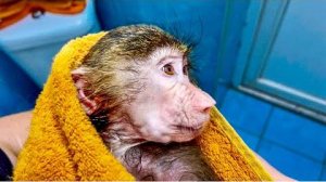 У Анфисы БАННЫЙ ДЕНЬ, конечно мокрая Анфиса ЭТО ЧТО-ТО!