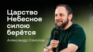 Александр Соколов: Царство Небесное силою берётся (24 июля 2025)